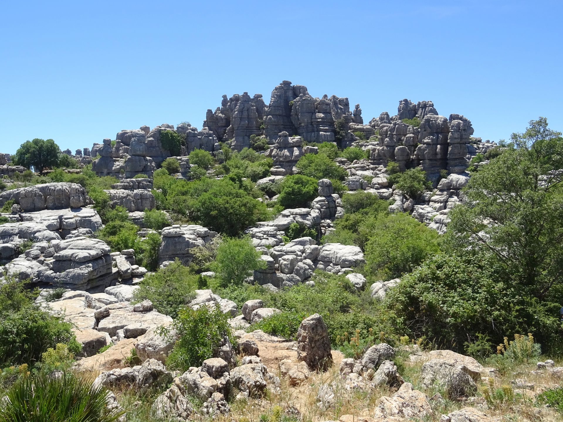 Torcal de Antequera